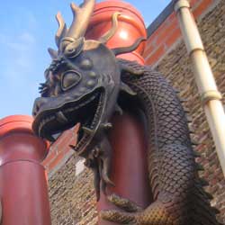 Dragons Chinois